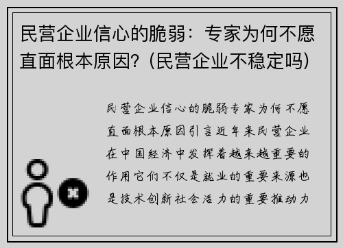 民营企业信心的脆弱：专家为何不愿直面根本原因？(民营企业不稳定吗)