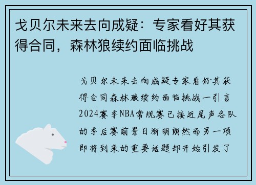 戈贝尔未来去向成疑：专家看好其获得合同，森林狼续约面临挑战
