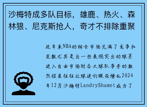 沙梅特成多队目标，雄鹿、热火、森林狼、尼克斯抢人，奇才不排除重聚