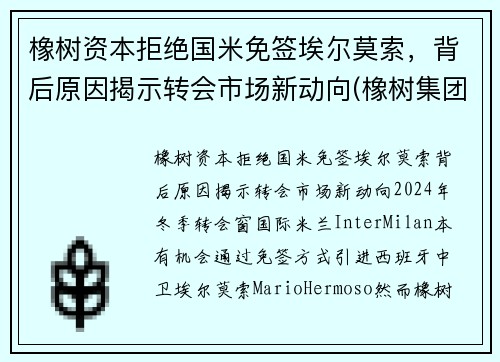 橡树资本拒绝国米免签埃尔莫索，背后原因揭示转会市场新动向(橡树集团)