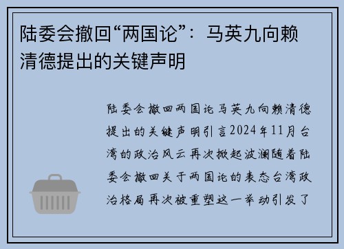 陆委会撤回“两国论”：马英九向赖清德提出的关键声明